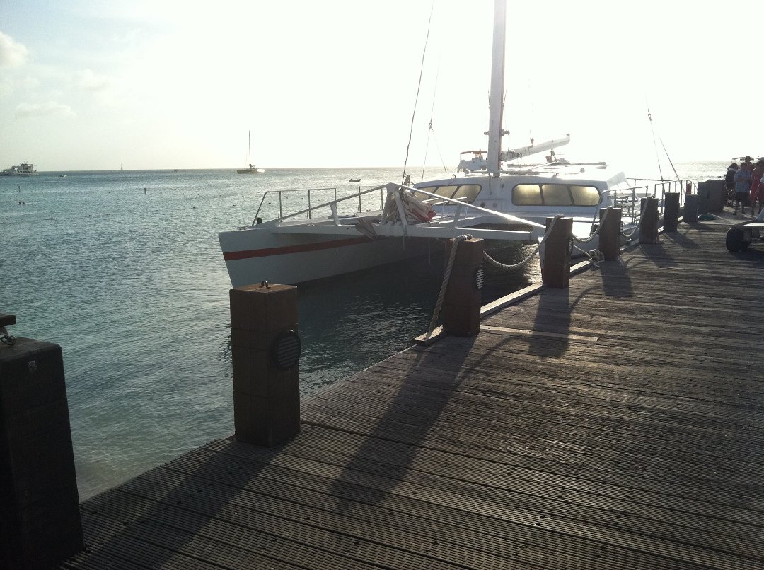 Michael Mann's album, Aruba