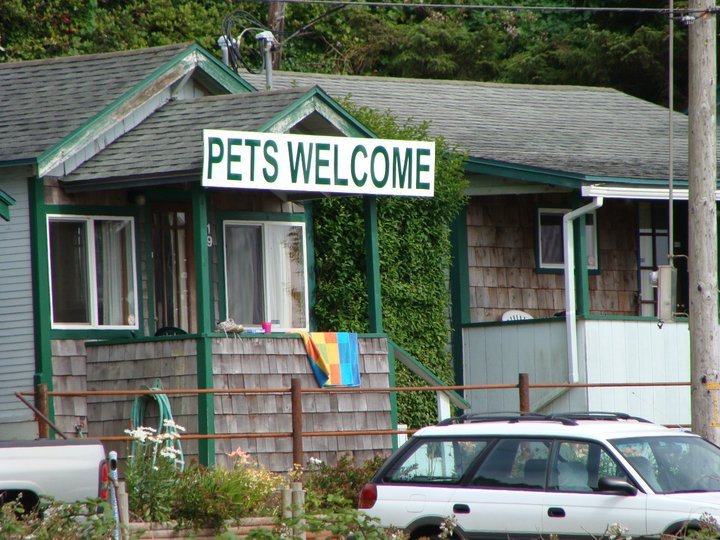 Dennis Harding's album, Photos1