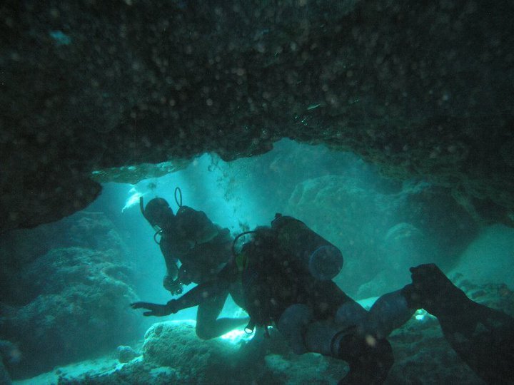 Garry Cardwell's album, Roatan Honduras 6-2010