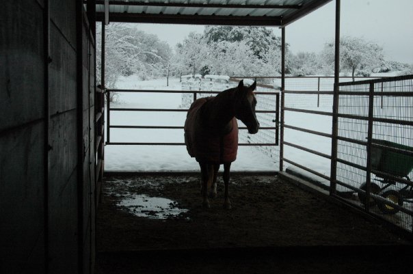 Jane Adams' album, Snowy Day 1-11-10