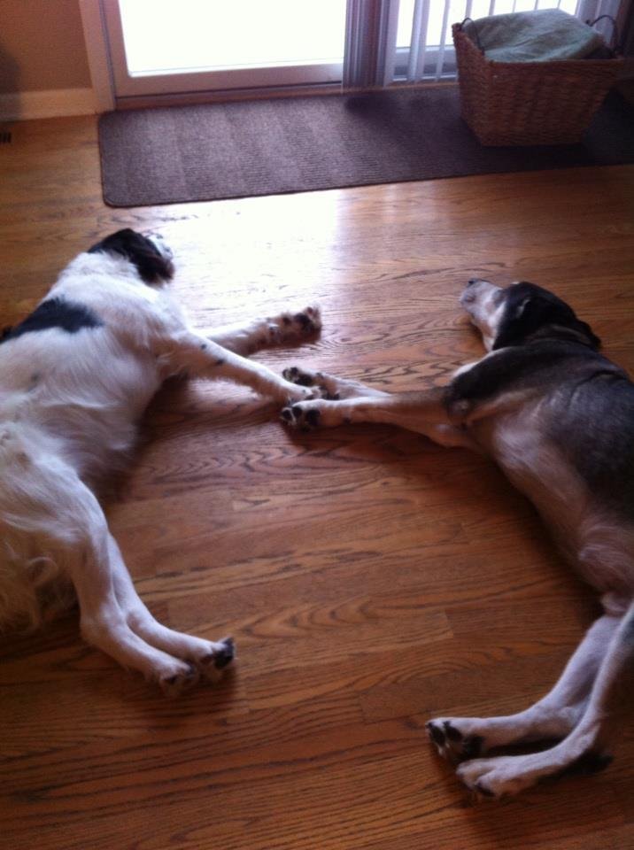 Jill Payne's album, iOS Photos