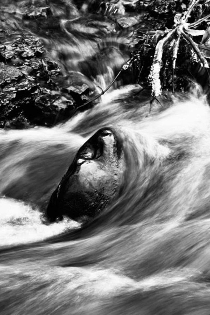 myron holmes' album, Cover Photos