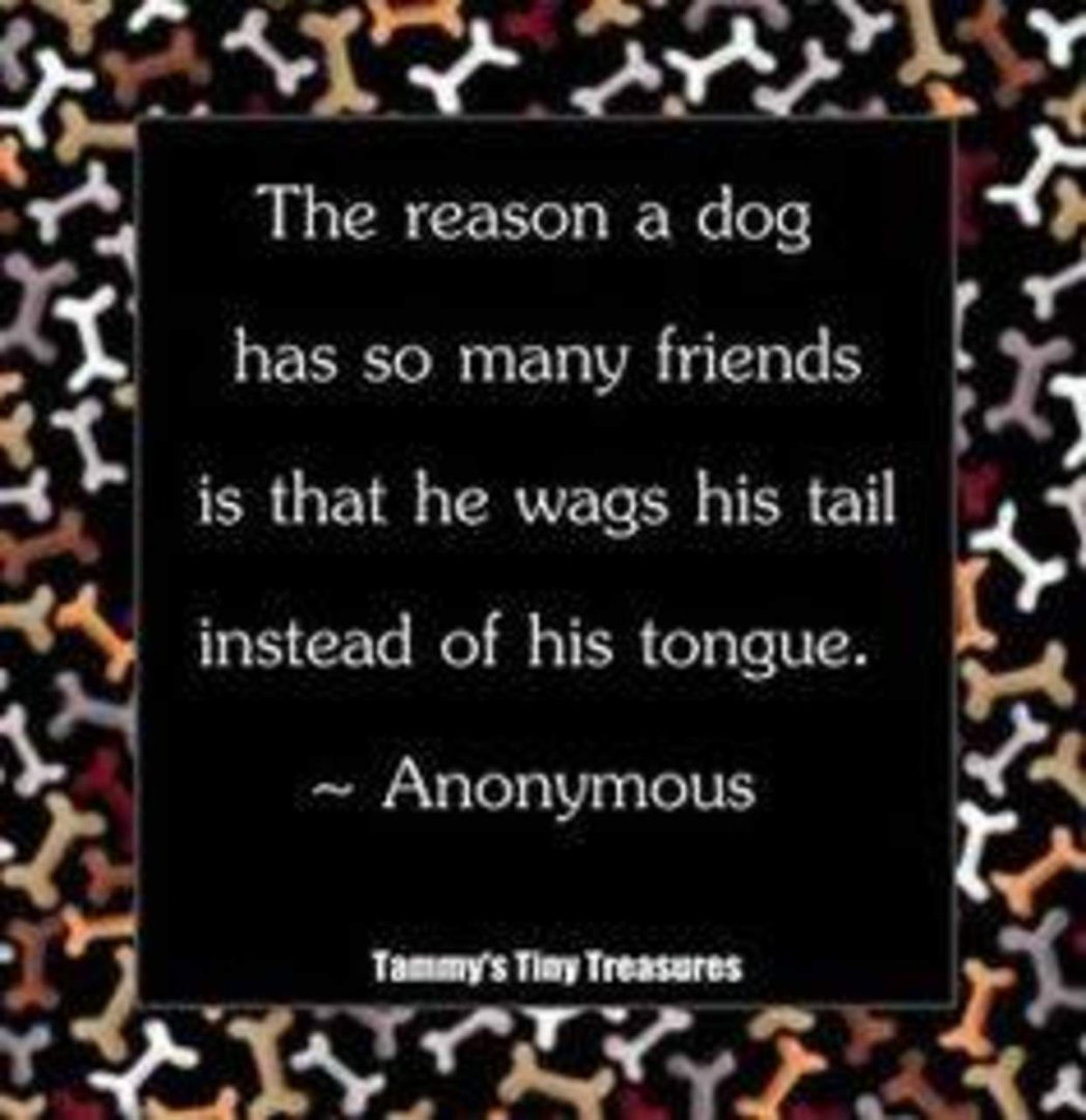 Cindy Simmonds' album, Timeline Photos