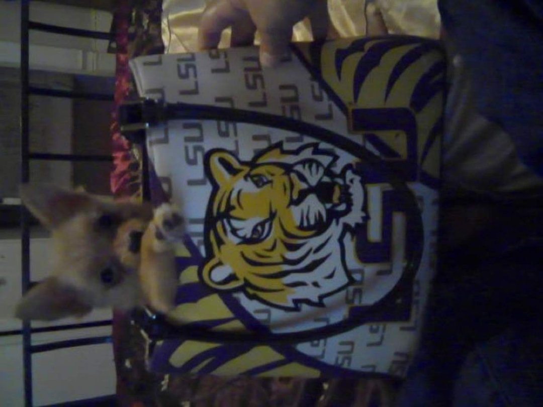 Michael Neyland's album, Mikey picture