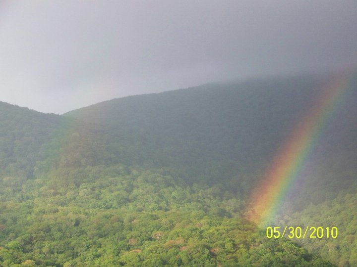 David Goodson's album, Mt Mitchell 2010