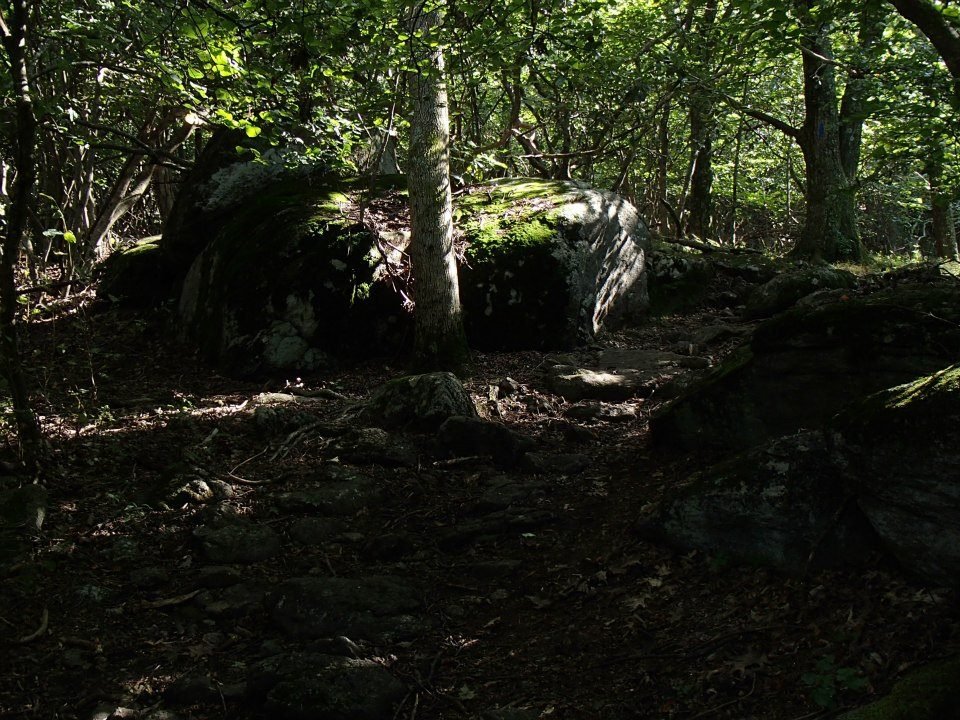 Brian Melton's album, Mt. Pleasant and Pompey Mountain--Henry Lanum Trail