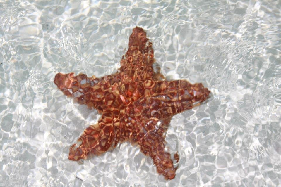 Doris Shubert's album, Providenciales "Provo" Turks and Caicos 2011