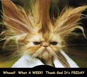 Ronald Browning-McCauley's album, Timeline Photos