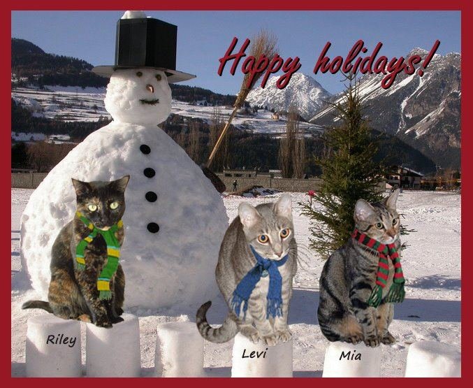 Jill Bartikowsky's album, Timeline Photos