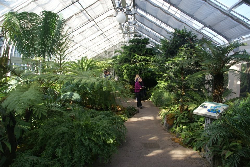 Betsy Lowe's album, Cover Photos