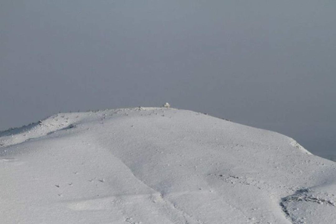 Bill Leaf's album, Snowy Kopet Dag - March 8, 2013