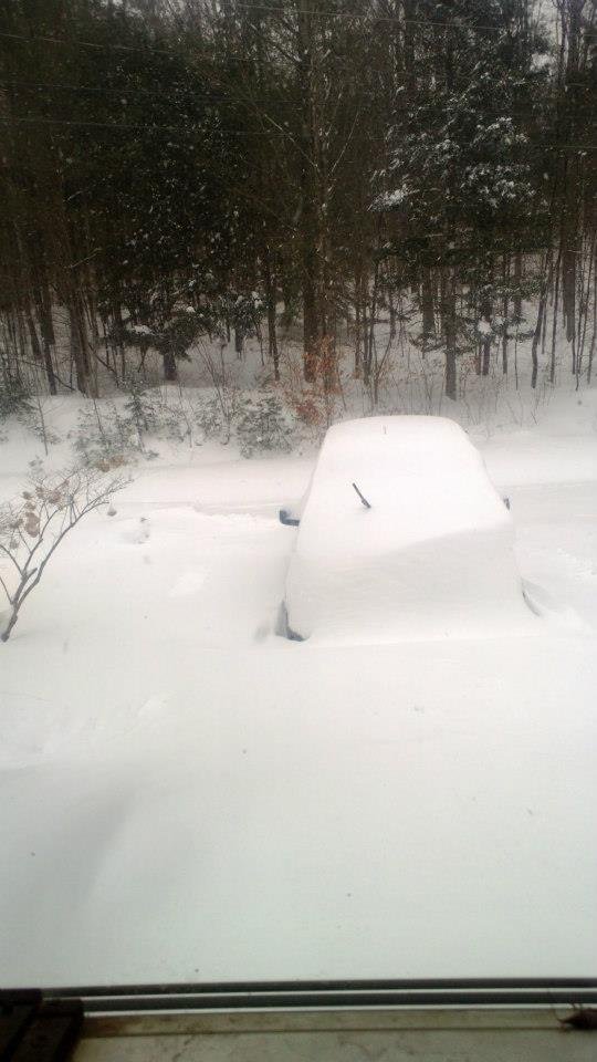 Robin Boynton's album, February 2013 Nor'easter