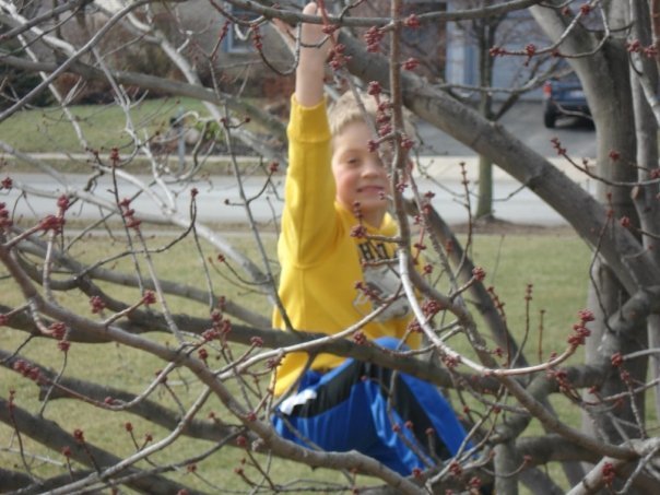 Amy Schaefer's album, family pictures