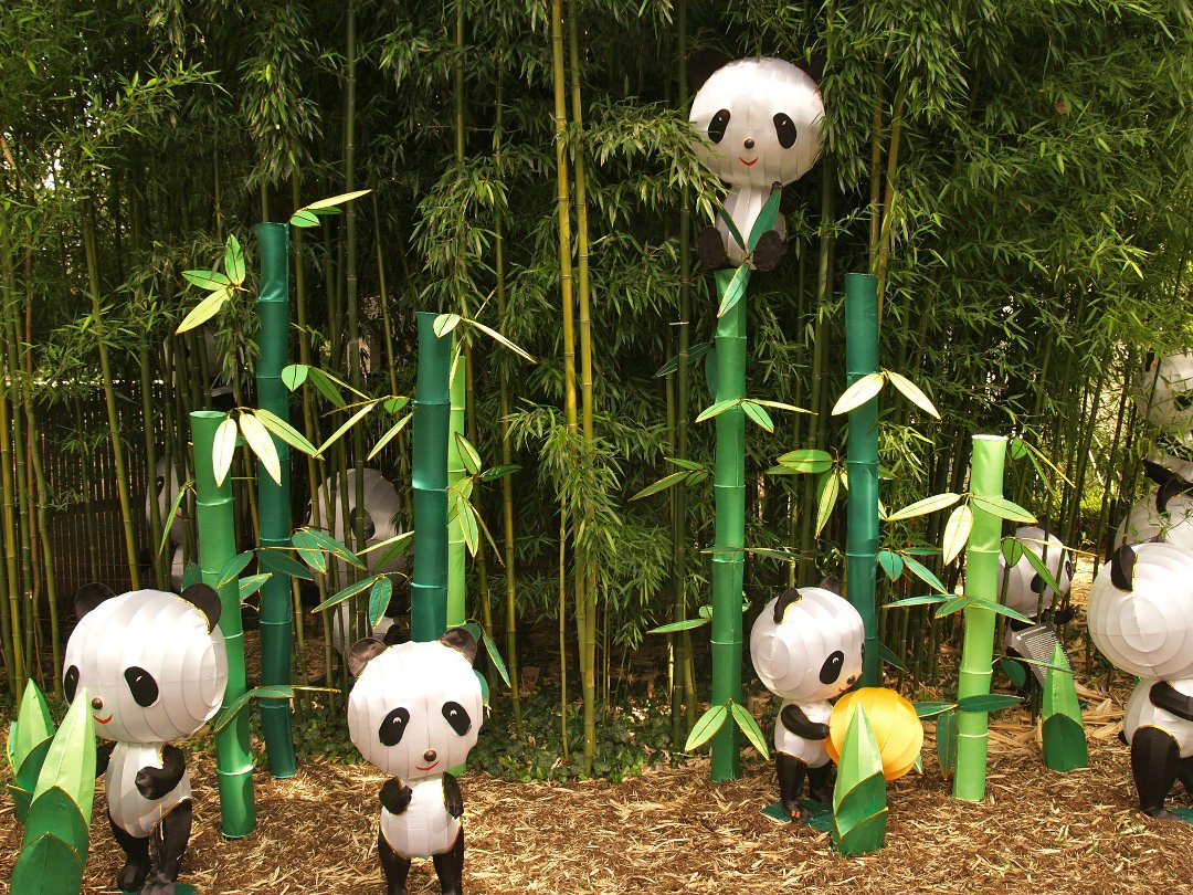 Roy Endres' album, Lantern Festival- Missouri Botanical Gardens
