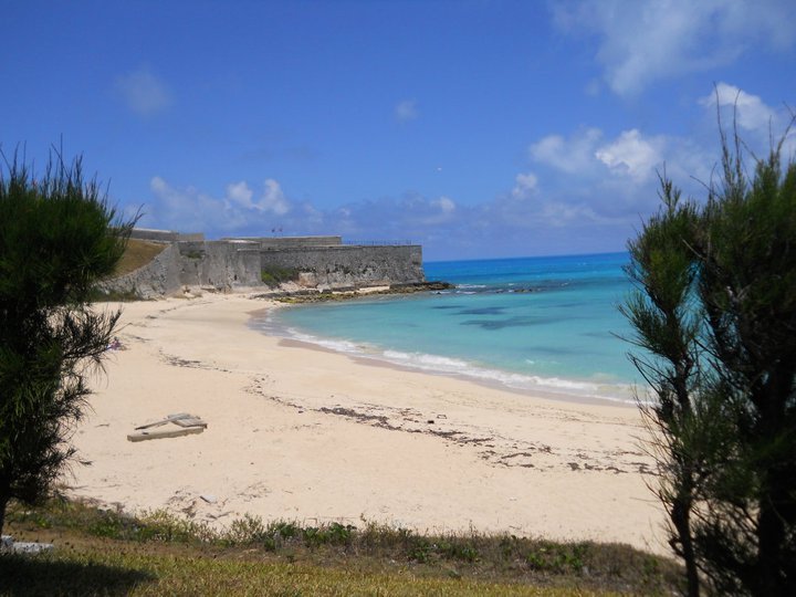 Tracy Robertson's album, Bermuda 2011