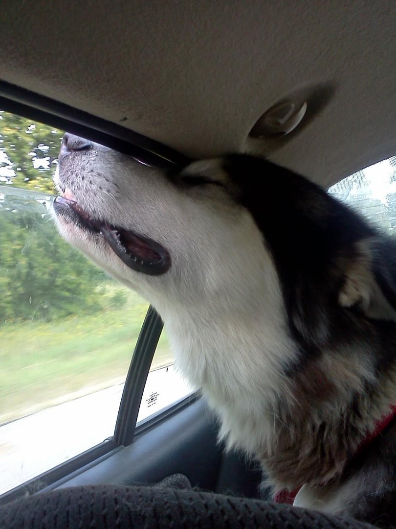 Heather Browning's album, LG Phone Photos