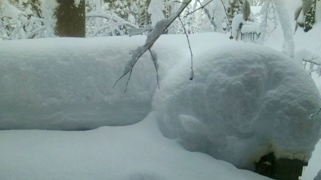 Lucas Heller's album, Um it snowed in Lake Tahoe last night. 21+"