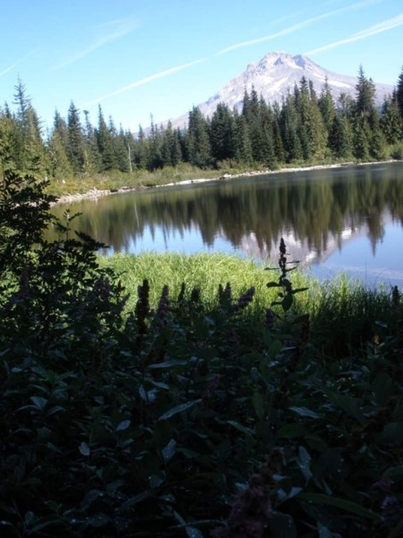 Susan Foley's album, Hiking at Wildwood Rec area and Mirror Lake