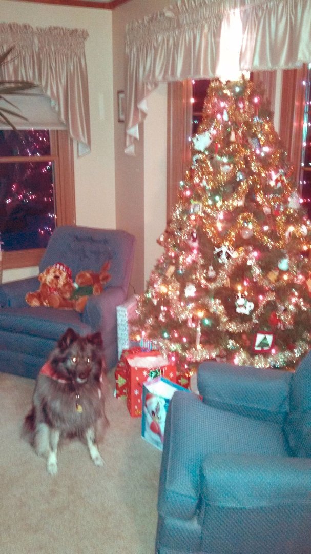 Skip Allison's album, Timeline Photos