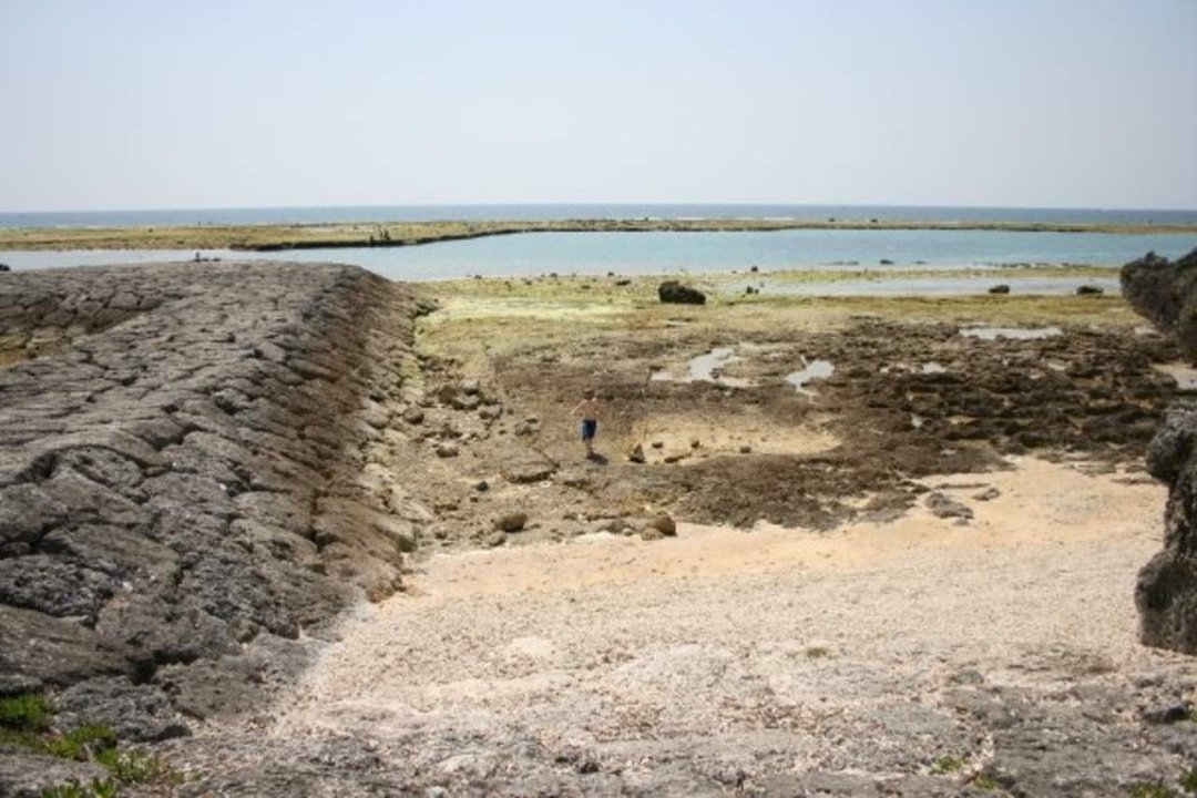 Dan Arpan's album, Okinawa