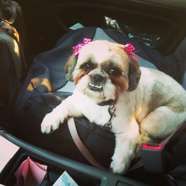 Carl Martz's album, Instagram Photos