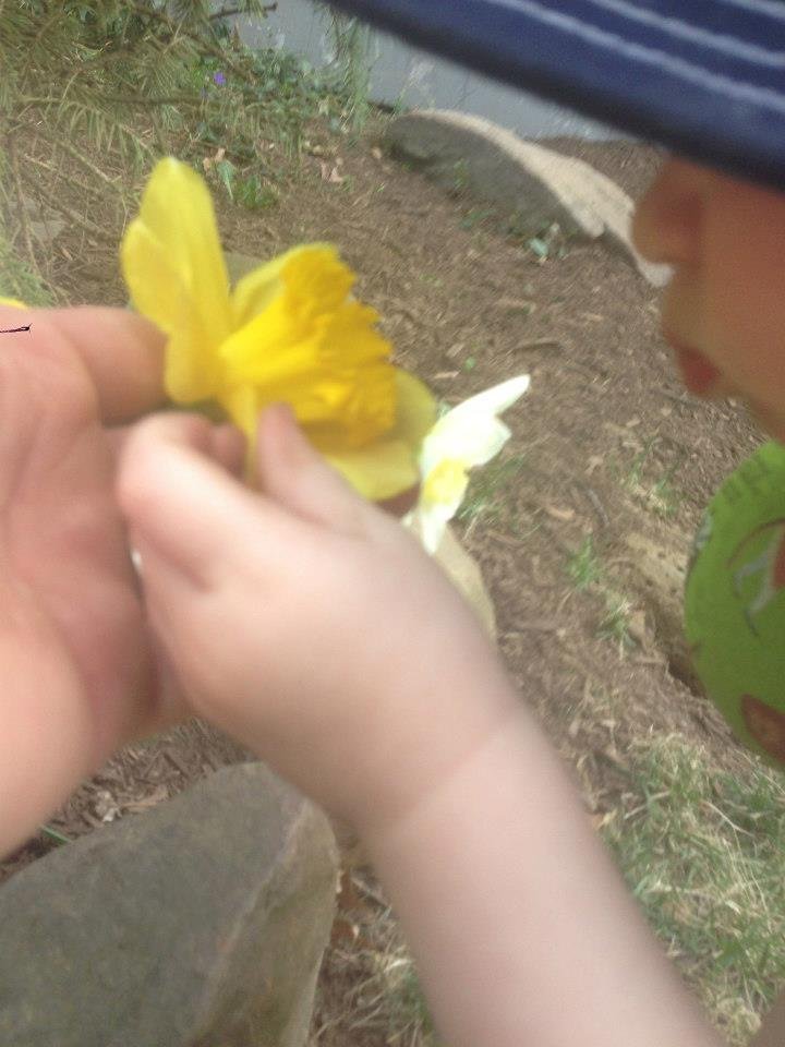 Ryan McDonald's album, The New Gardener