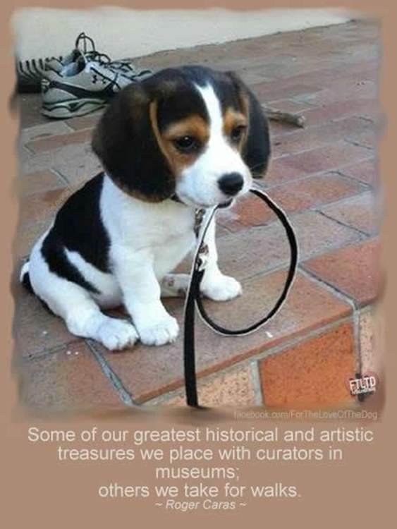 Paul Gibbs' album, Timeline Photos