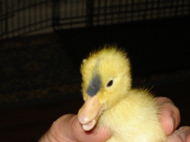 Kathy Focacci's album, My Photos
