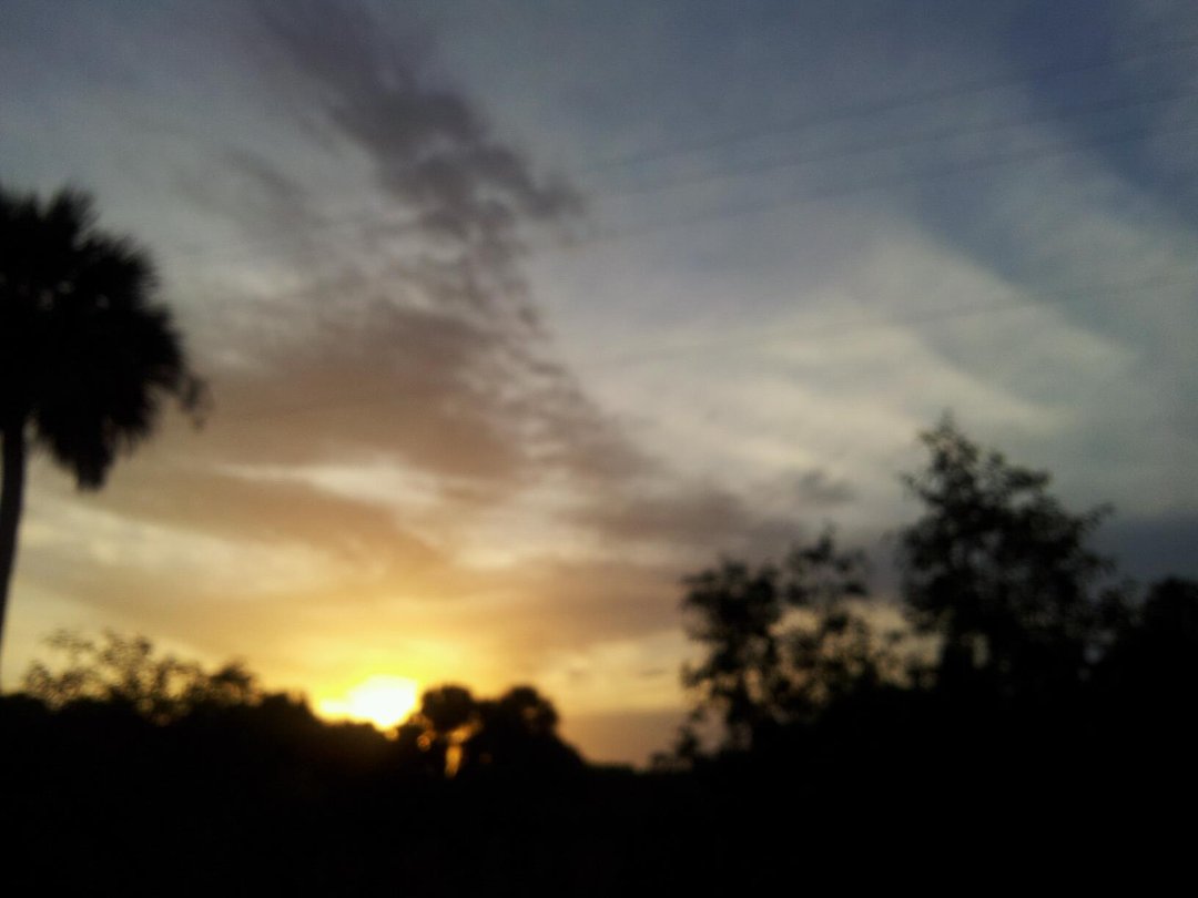 Gary Robertson's album, Mobile Uploads