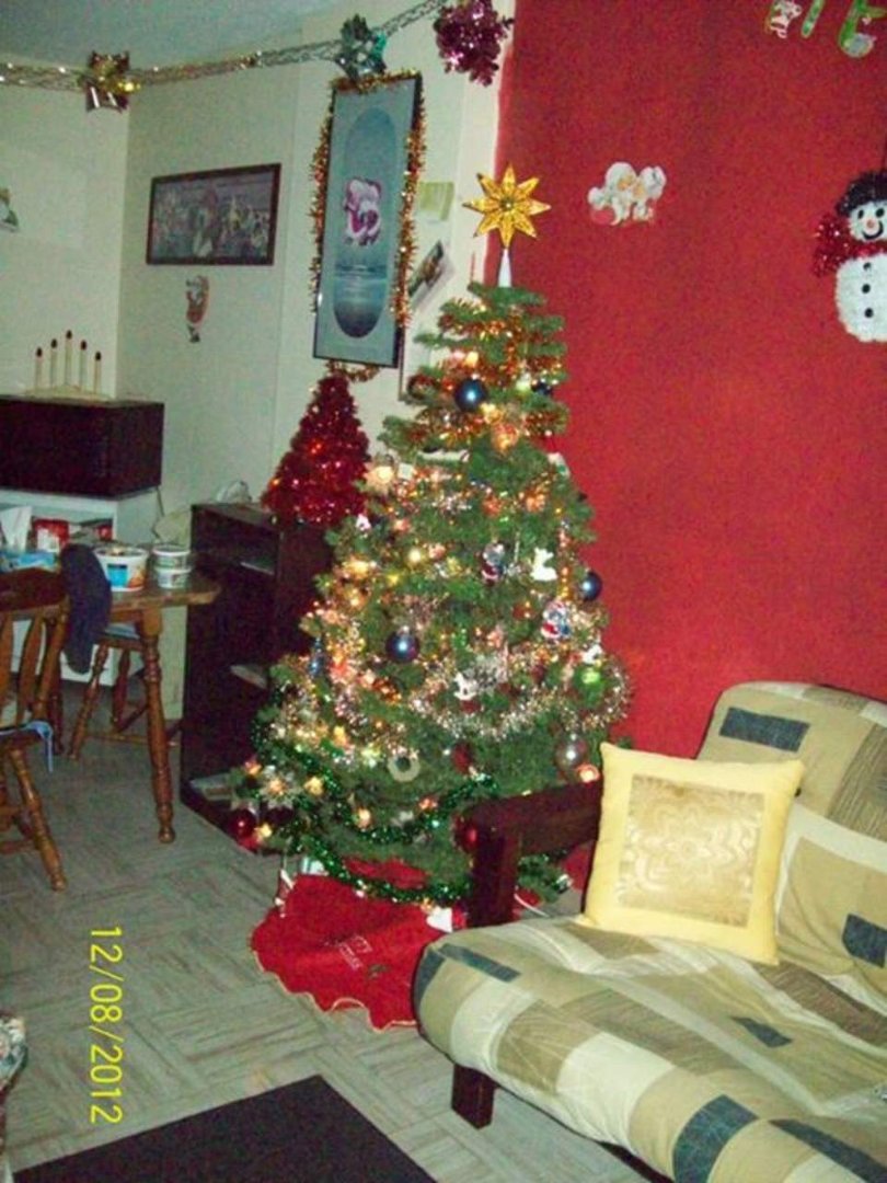 Patrick O'Quinn's album, My Newly Painted LivingRoom Did My Self