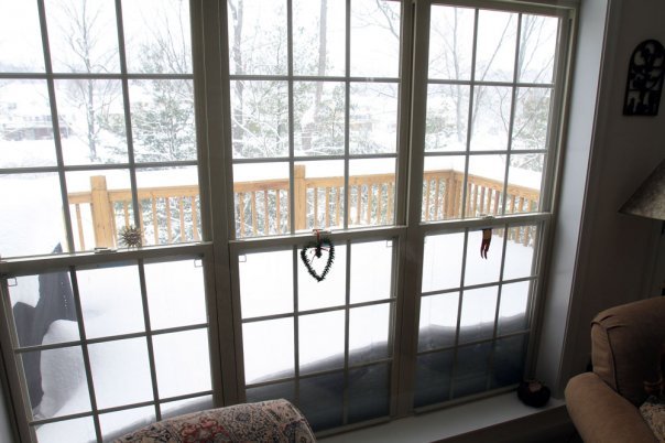 Cam Abernethy's album, 2009 Winter Storm Pictures