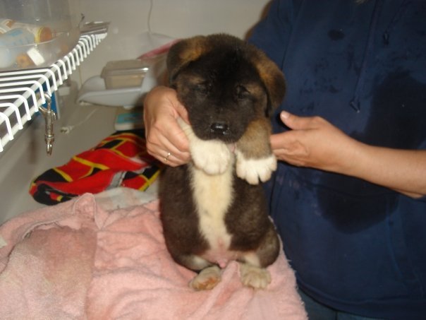 Brandon Winn's album, doggie