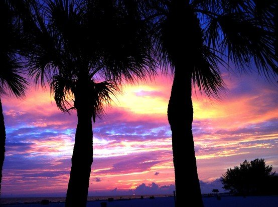 Tom Murren's album, Cover Photos