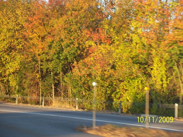 Connie Davis' album, Road Trip to the East Coast!