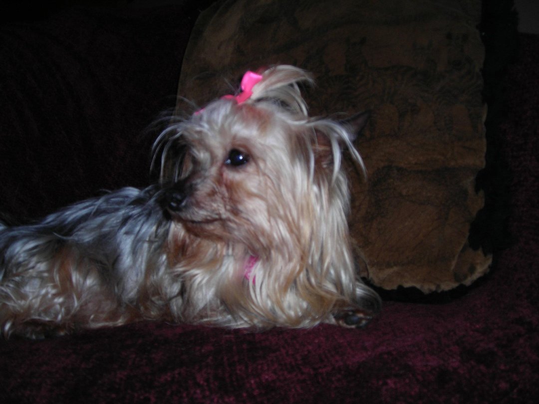 Connie Countryman's album, Sophie's 1st day home
