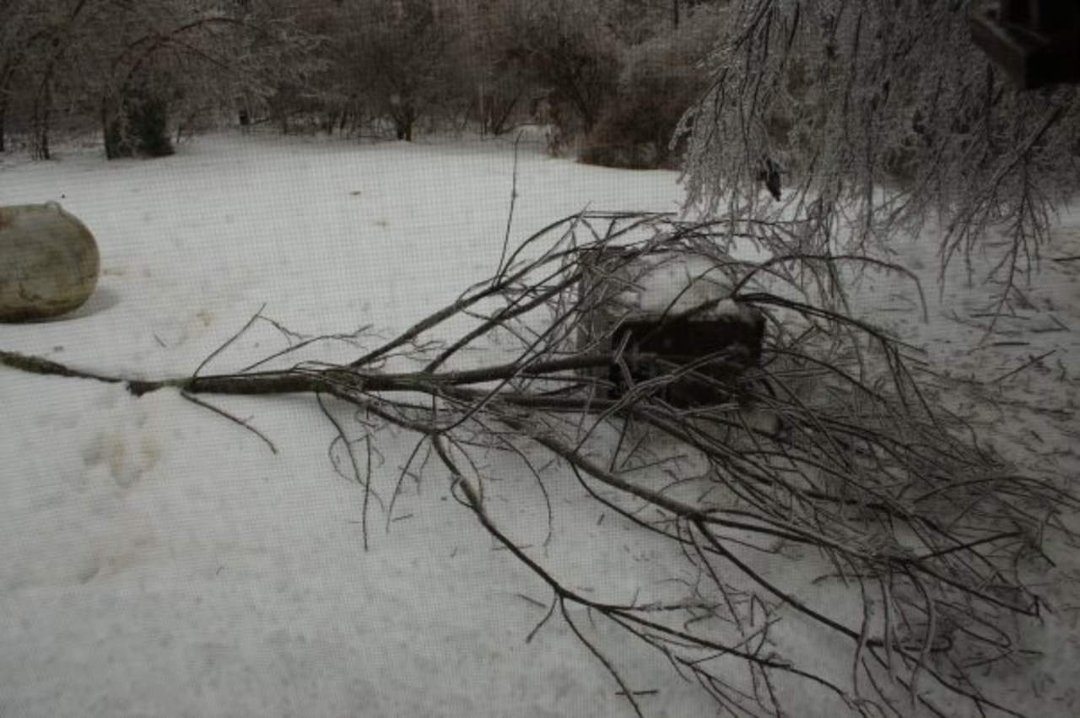 James Wicker's album, Christmas Ice Storm 2009