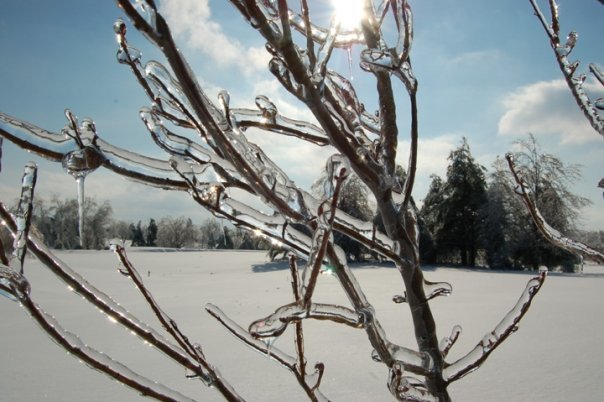 Mike Prather's album, Kentucky Ice Storm 2009