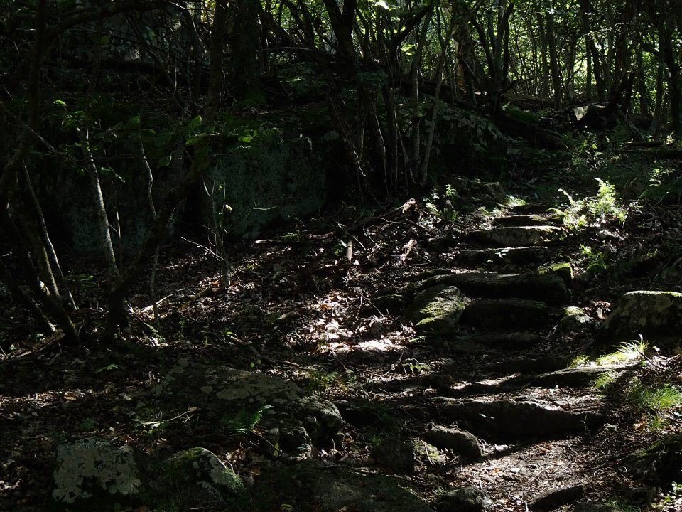 Brian Melton's album, Mt. Pleasant and Pompey Mountain--Henry Lanum Trail