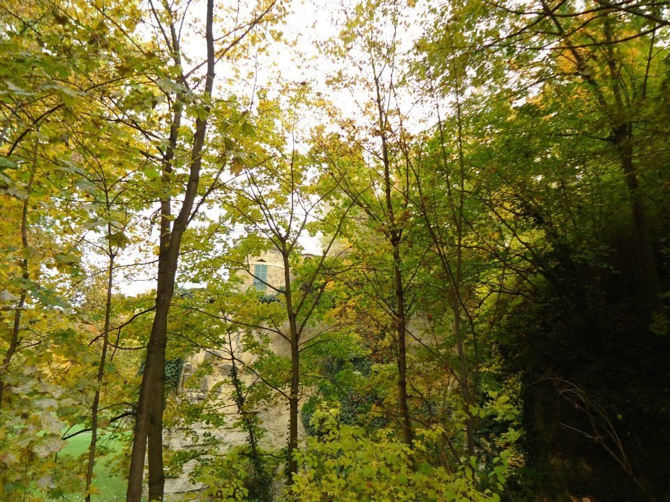 Melanee Davis' album, Germany
