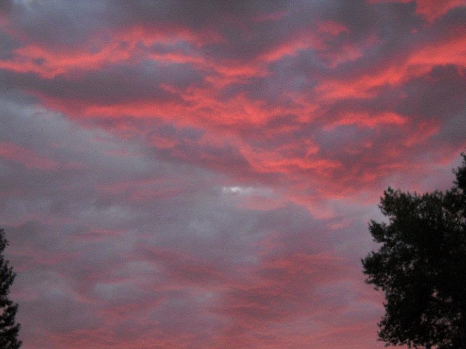 Nancy Larson's album, Cover Photos