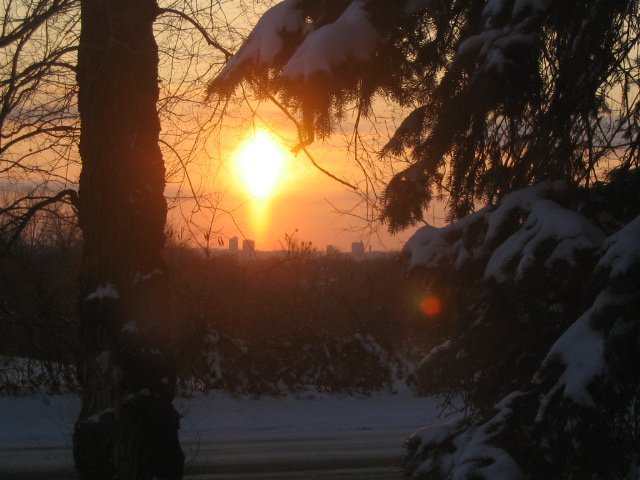 Michele Teufel's album, Cover Photos