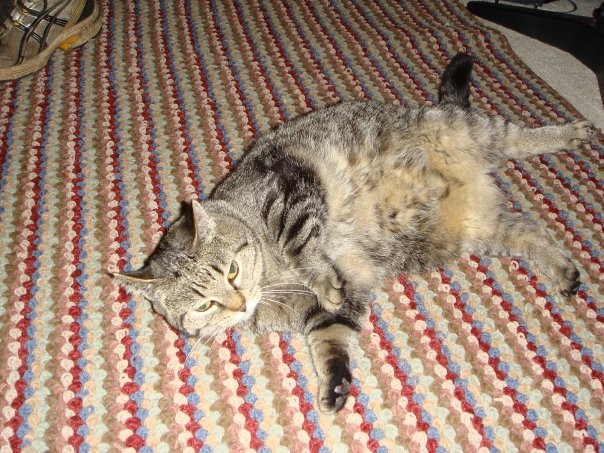 Prudence Labelle's album, cats