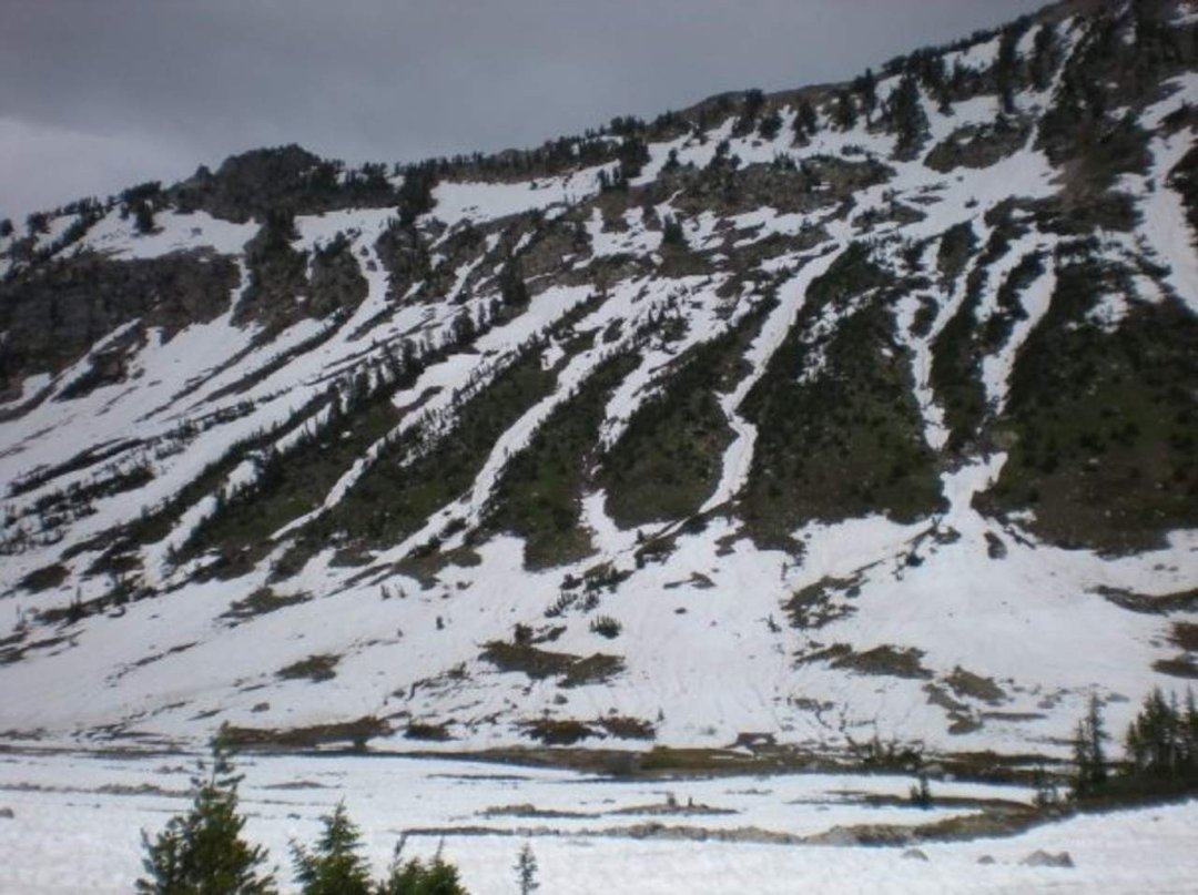 Lynden Kellis' album, Tetons / Yellowstone 2009