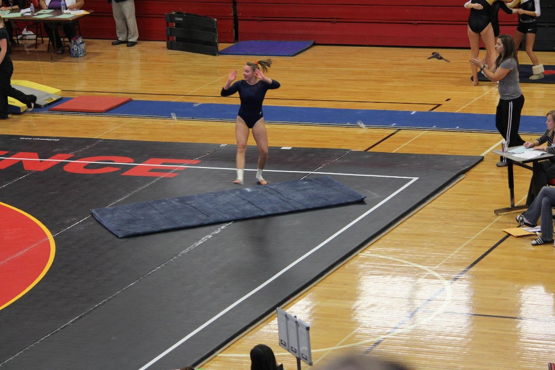 Mike Mann's album, State Gymnastics
