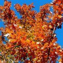 Cheryl Hainkel's album, Timeline Photos