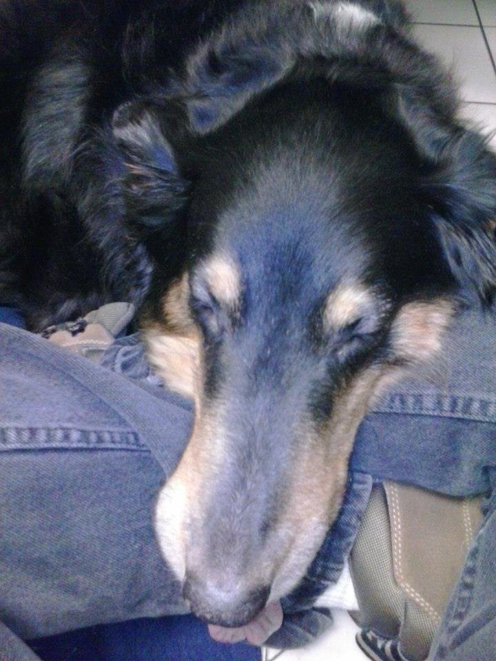 Scott Post's album, Nala