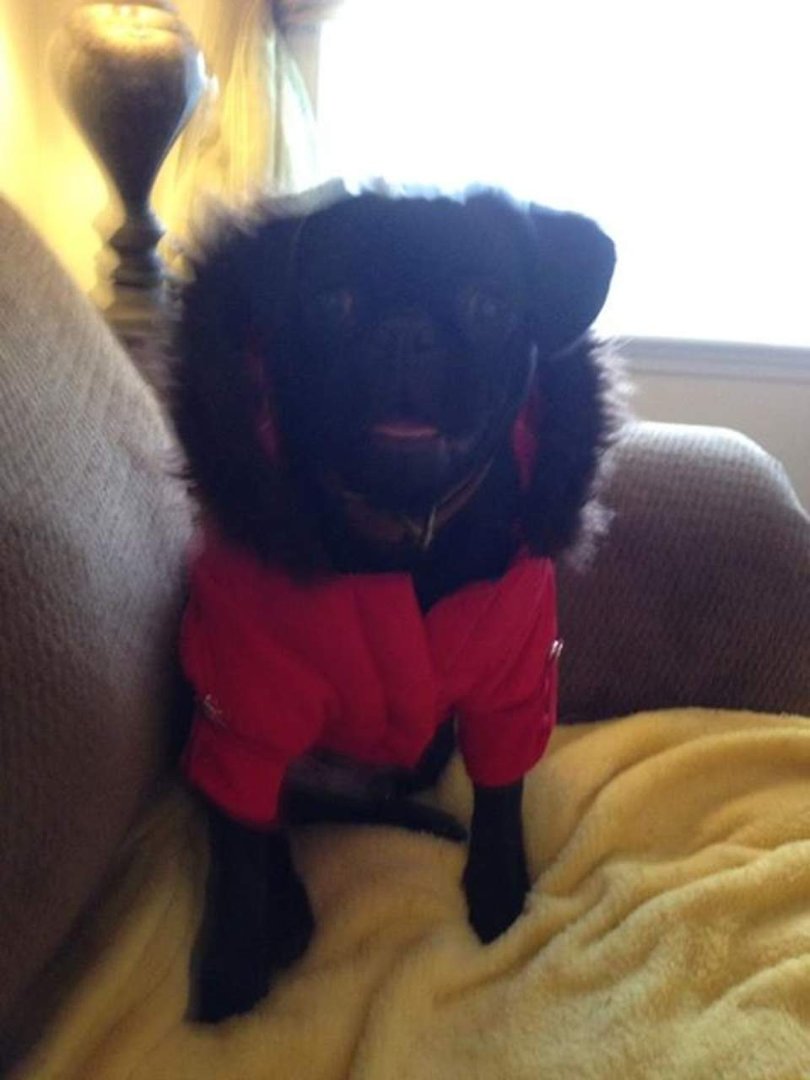 Kathie Derring's album, iOS Photos