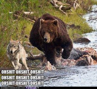 Pat Schaefer's album, Timeline Photos