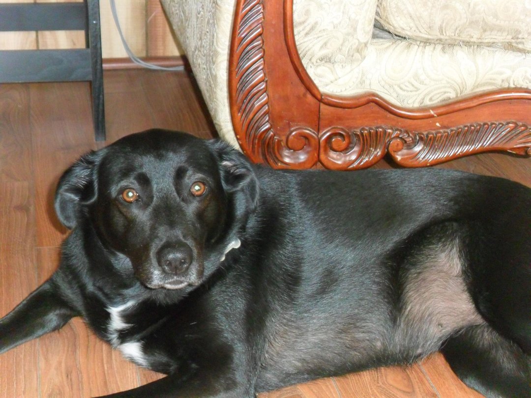 Waldo Walter Butler's album, Cover Photos