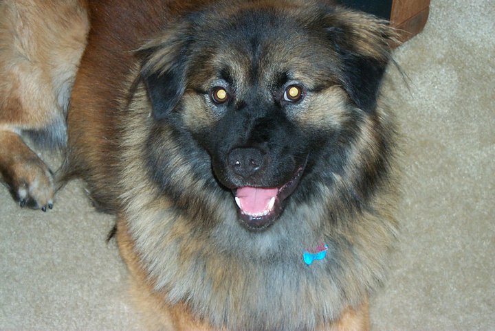 Ted Barker's album, Ted' Pix